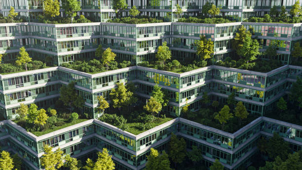 Green Roofs